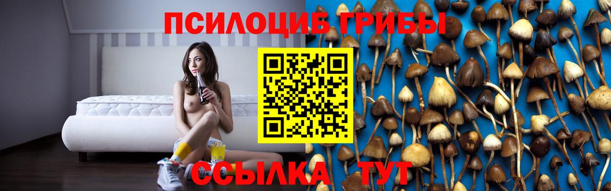 Галлюциногенные грибы Cubensis  Вход с VPN  Армавир  Галлюциногенные грибы MAGIC MUSHROOMS 